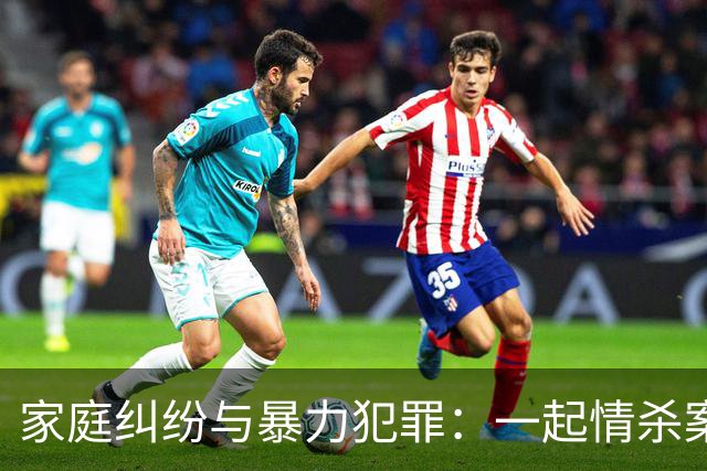 家庭纠纷与暴力犯罪：一起情杀案件的调查与分析